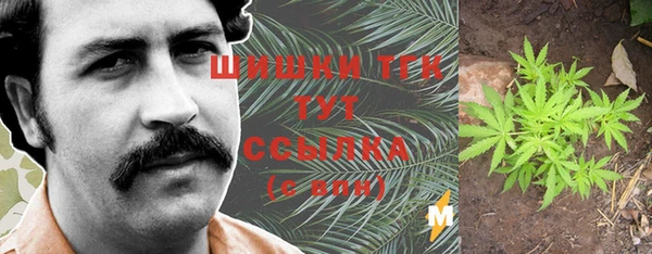 гашик Аркадак