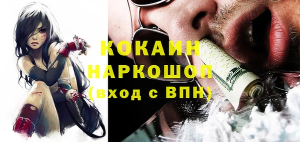 гашик Аркадак