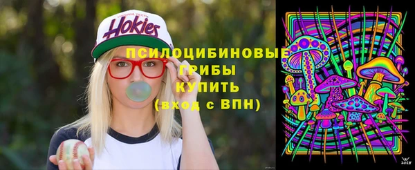 гашик Аркадак