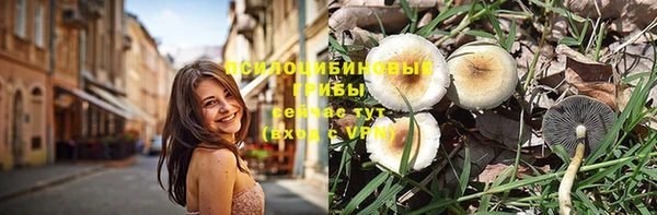 гашик Аркадак