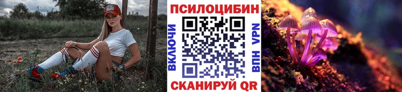 Псилоцибиновые грибы Psilocybe Новоузенск
