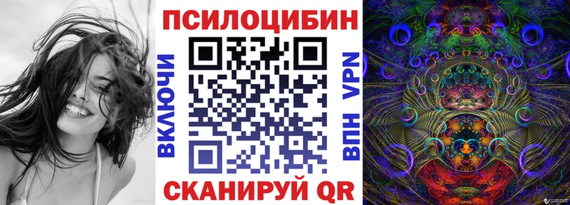 закладки Новоузенск mega зеркало Галлюциногенные грибы Magic Shrooms